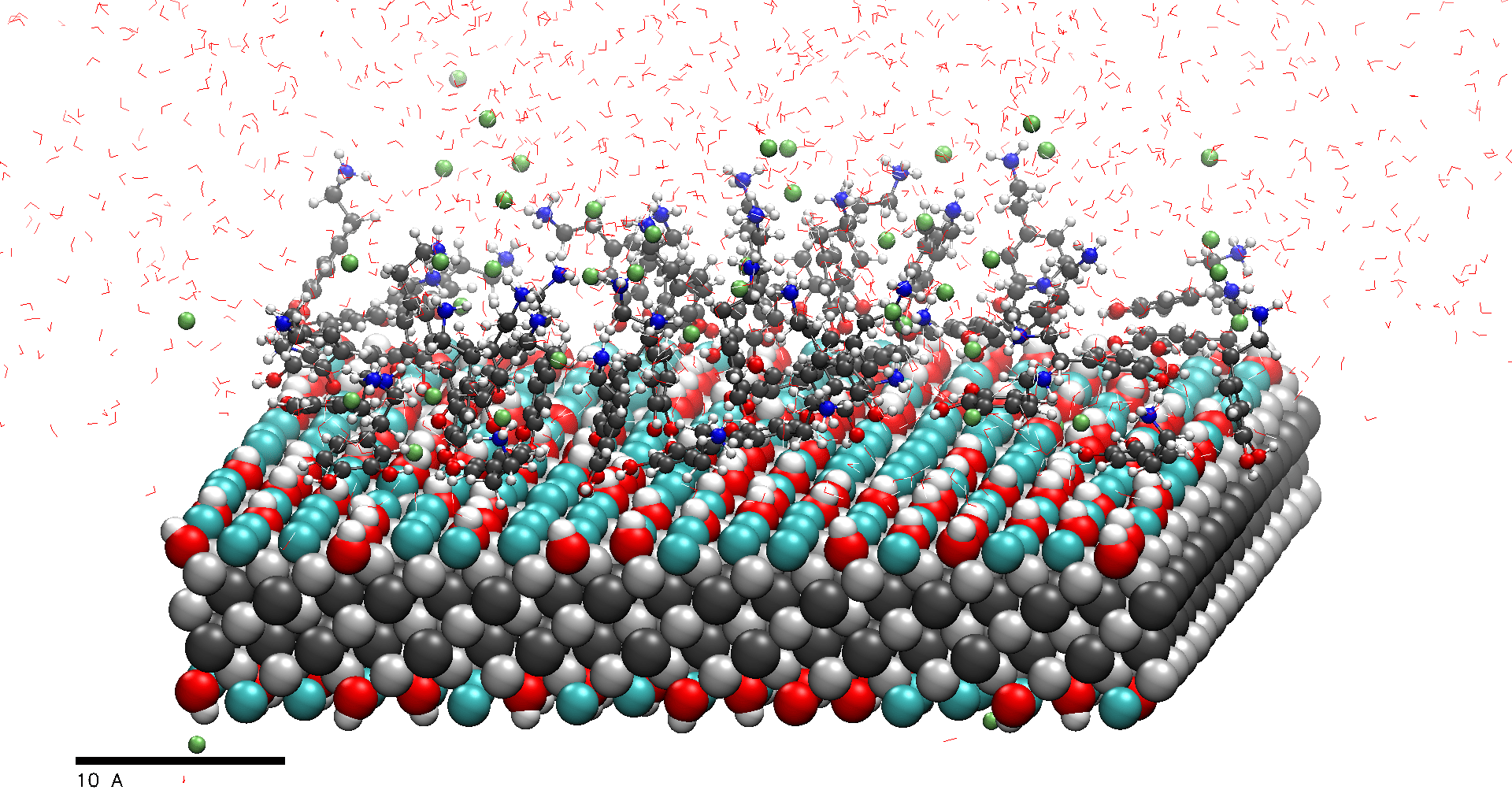 Quantifying MXene Interfacial Properties